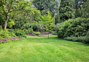 Optimiser l'expérience du jardin à Dingy-Saint-Clair